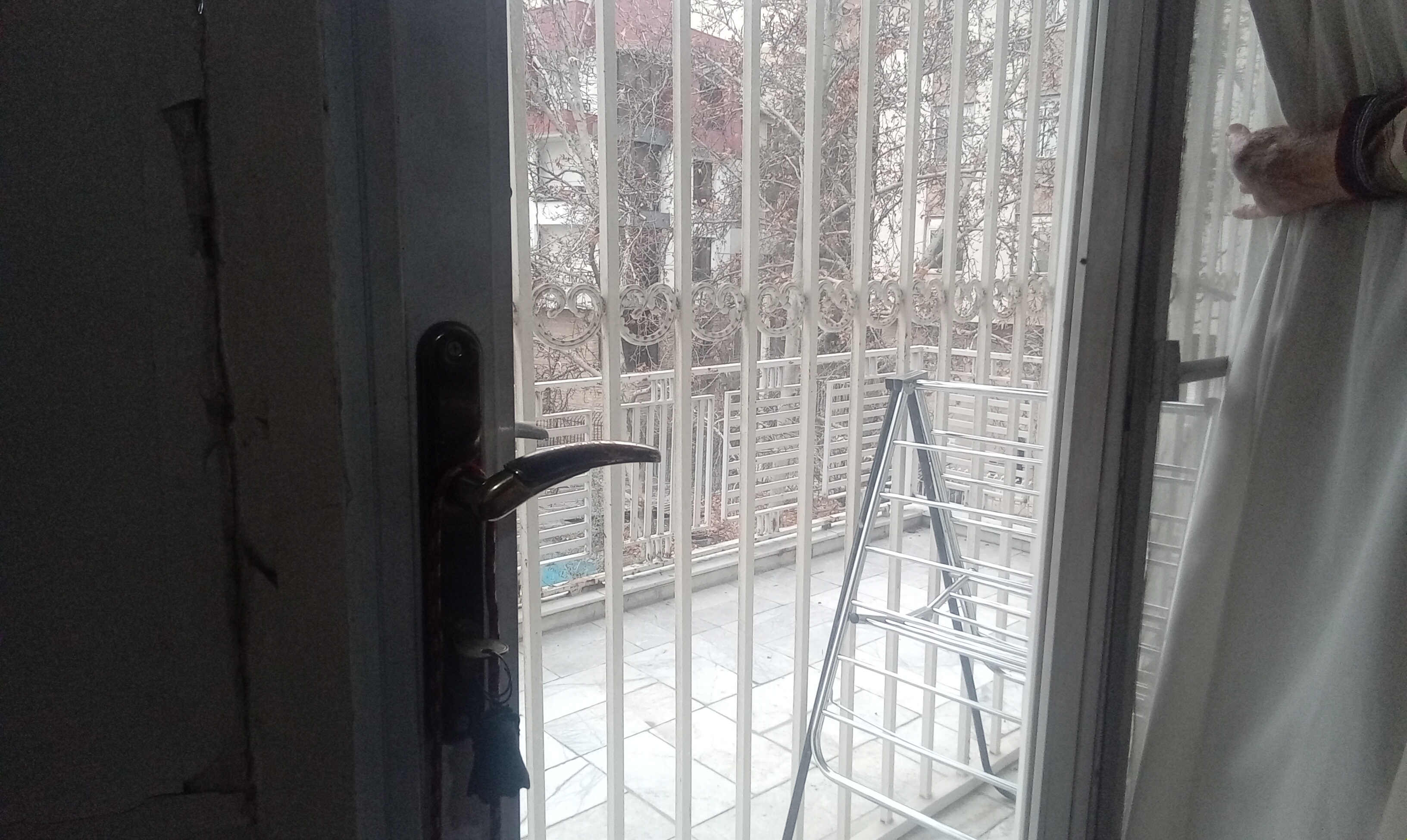 150متر دارای قدرالسهم یک از سه