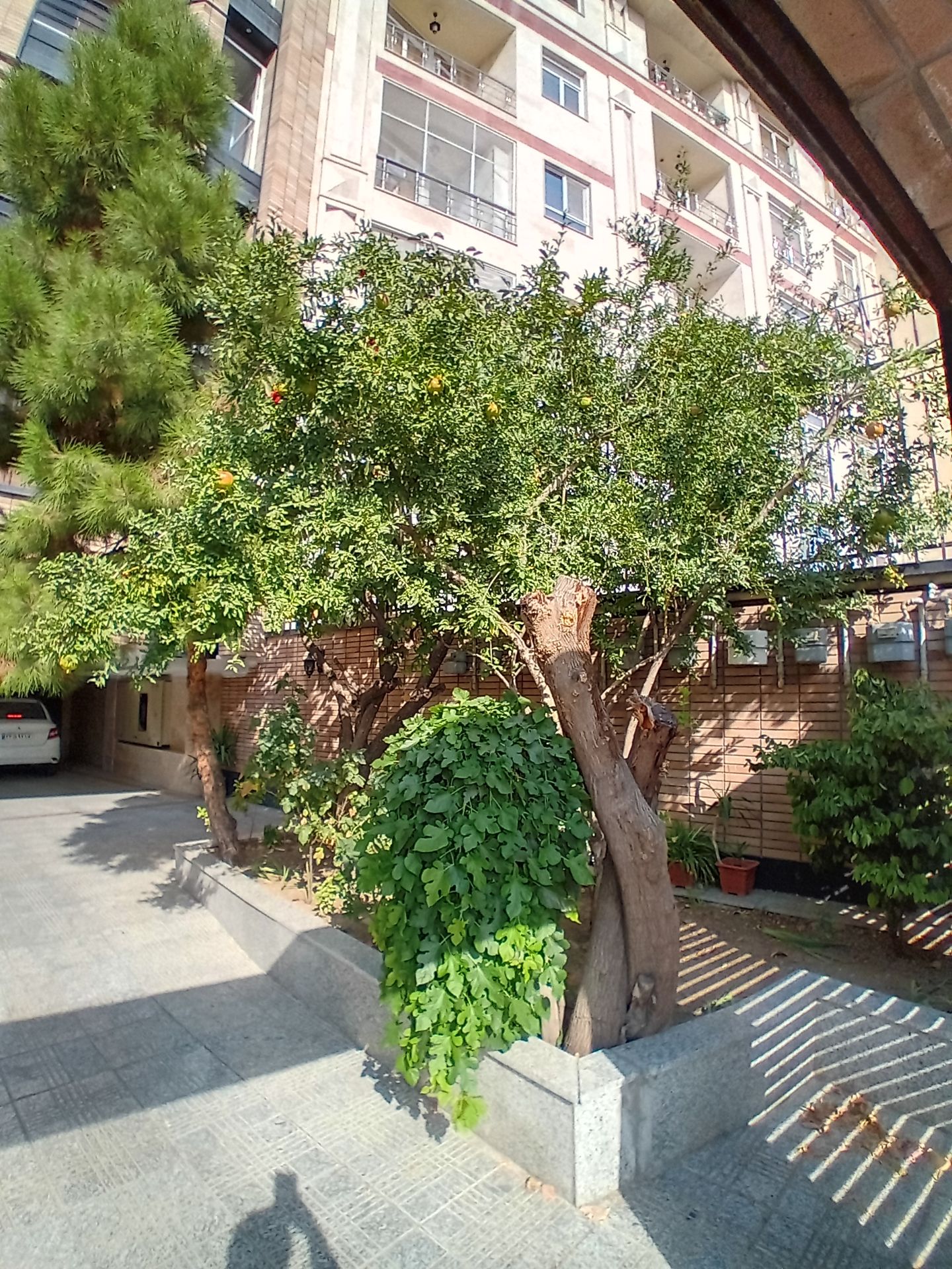 فروش آپارتمان 75 متر سوهانک 2 خواب کم سن