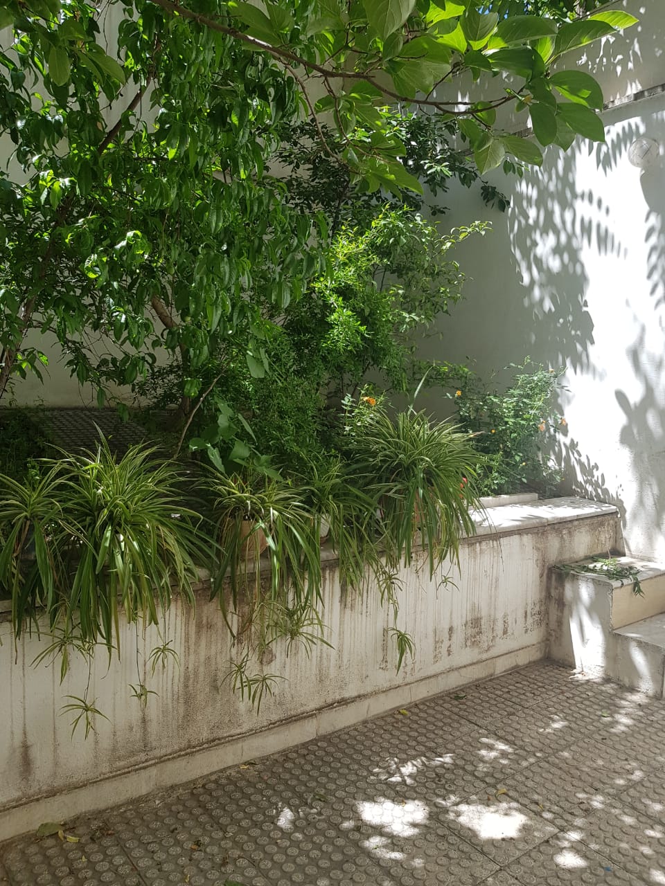 فروش آپارتمان 62متر هفت حوض 2خواب