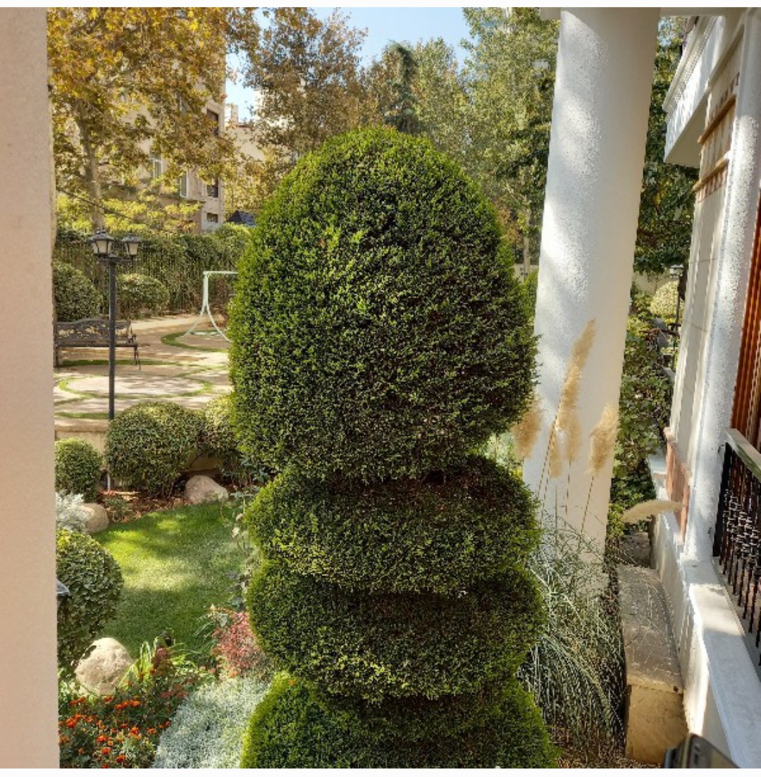 فروش آپارتمان لوکیشن دسترسی امنیت دیپلماتیک و بافت خارجی