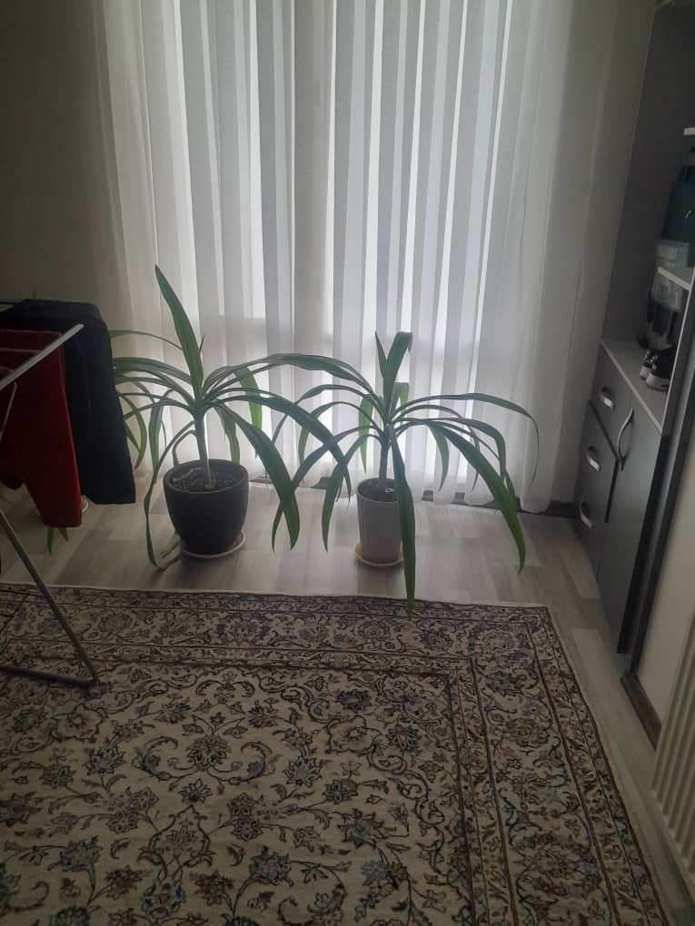 فروش اپارتمان  147متر آپارتمان قلب دیباجی خوش نقشه غرق نور