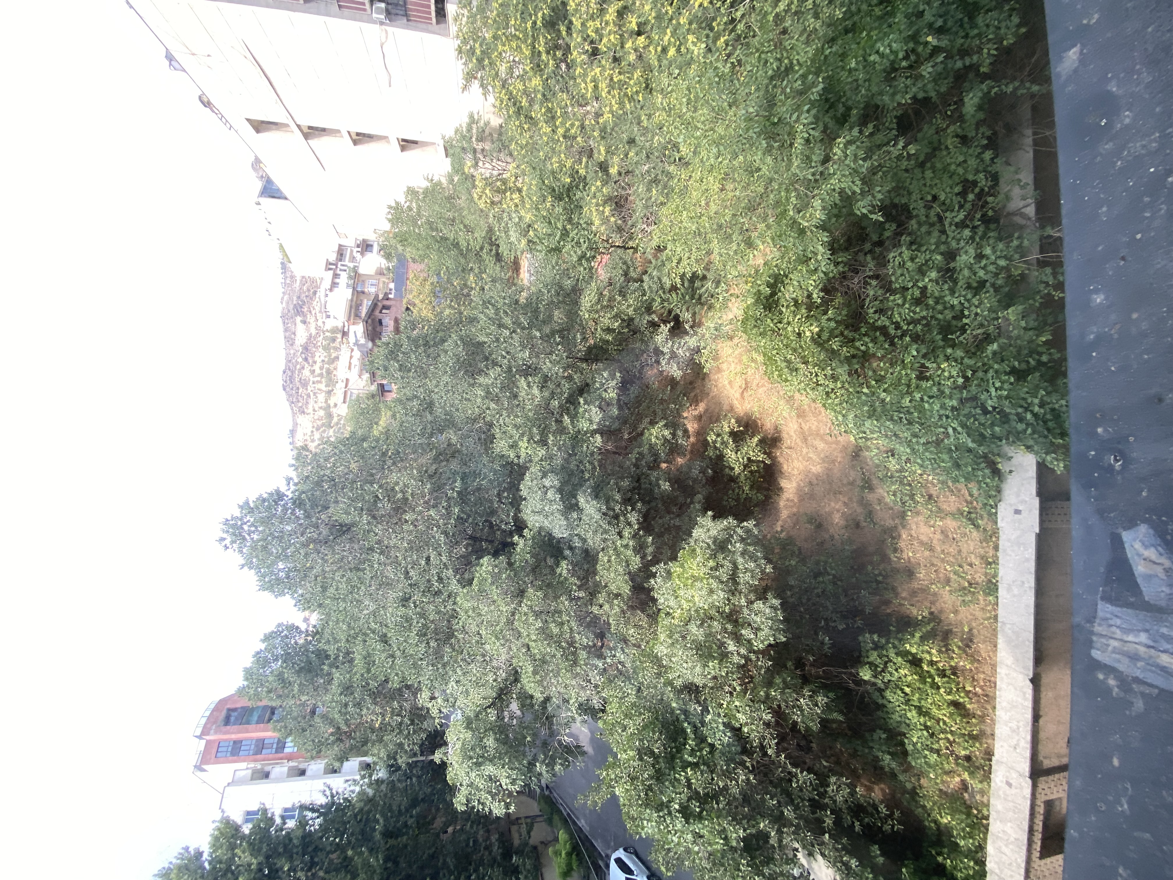 اجاره آپارتمان 230 متر نیاوران 3 خواب