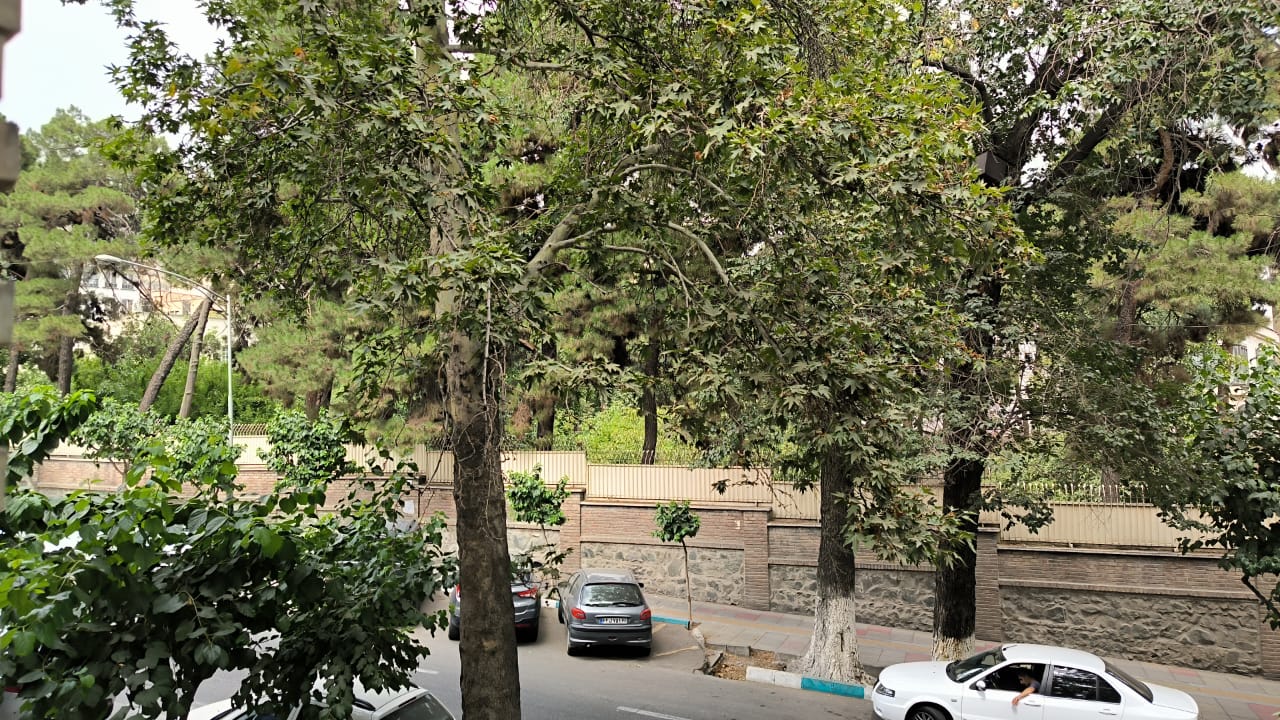اجاره اداری 100متر  نیاوران