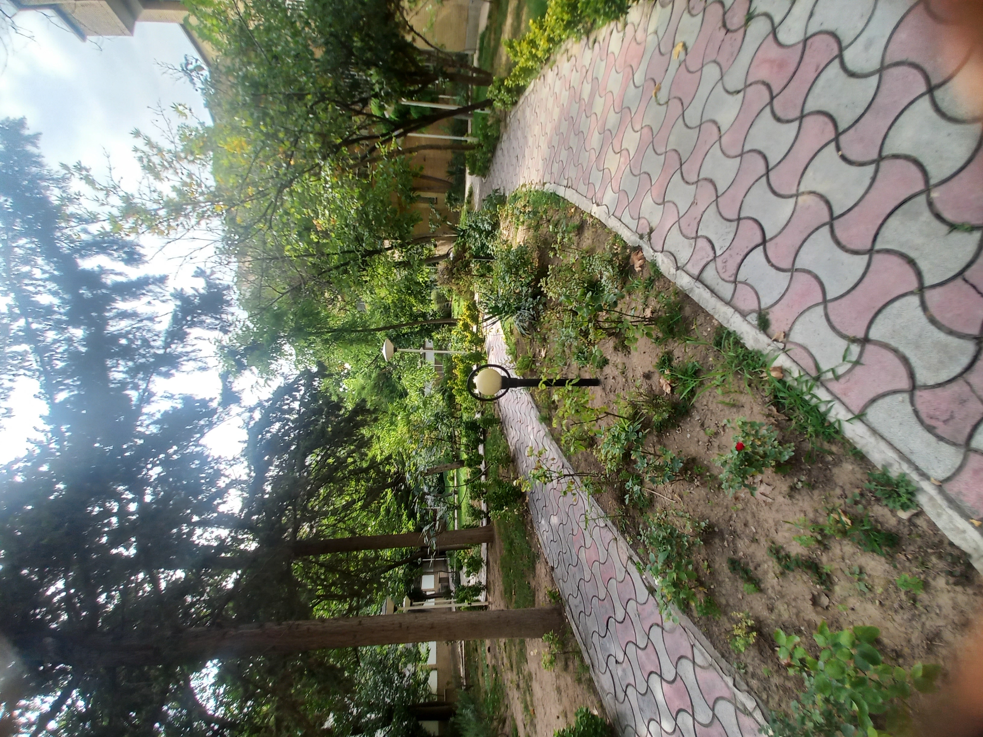 اجاره آپارتمان 185 متر دروس 3 خواب غرق نور