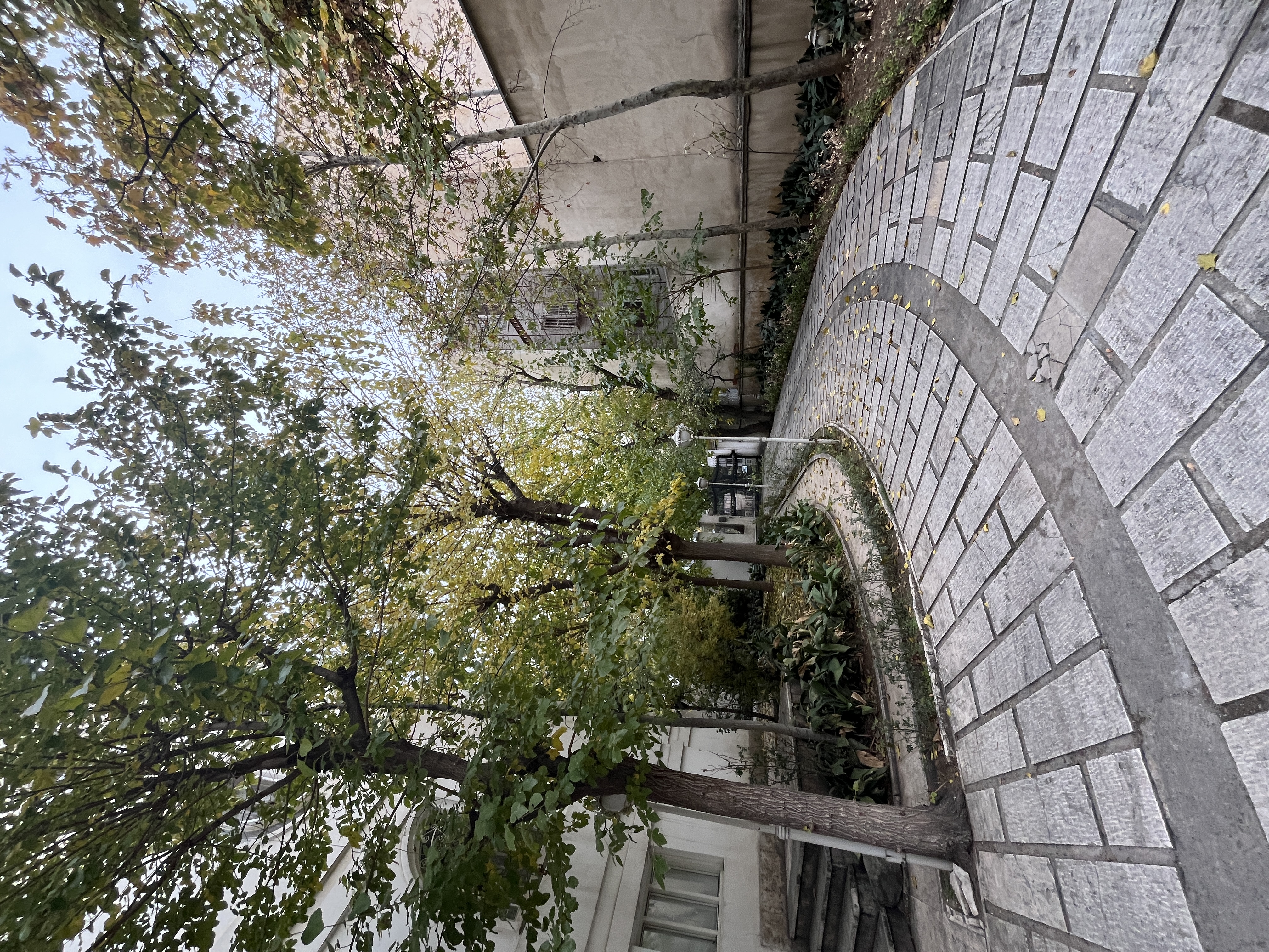 اجاره آپارتمان 150 متر 3 خواب نیاوران