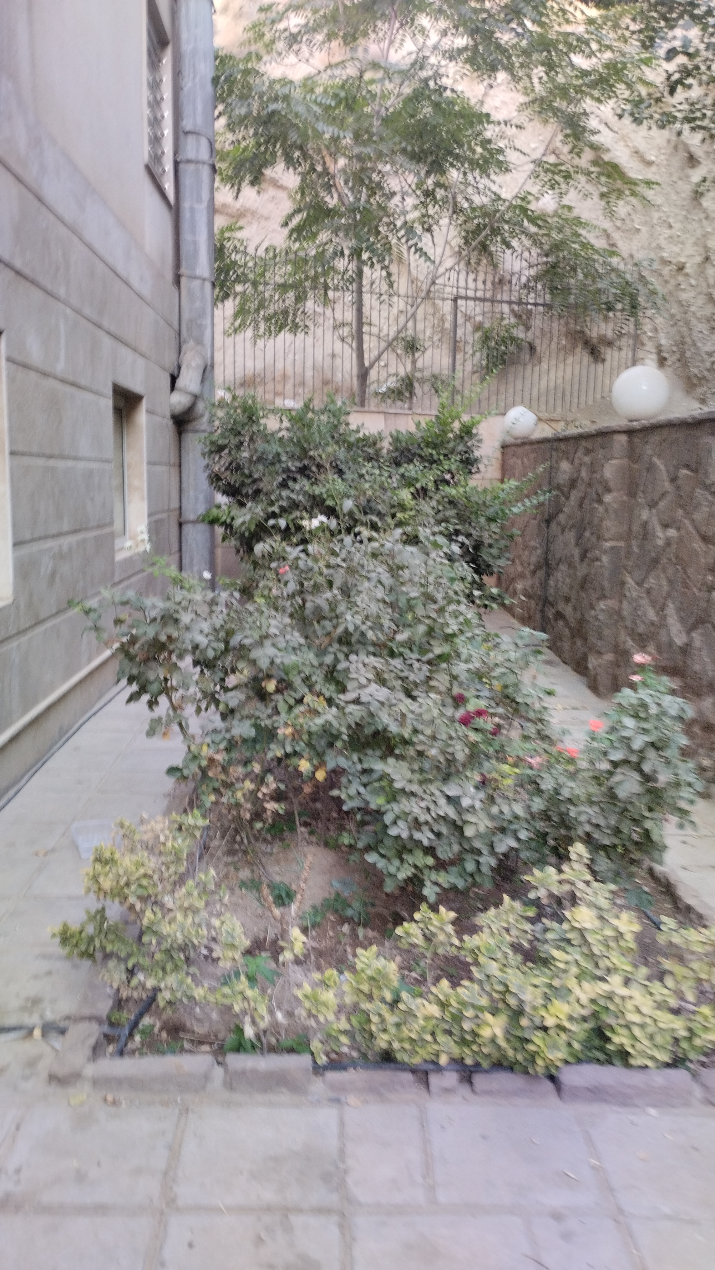 فروش آپارتمان 100 متر سوهانک 2 خواب فول امکانات