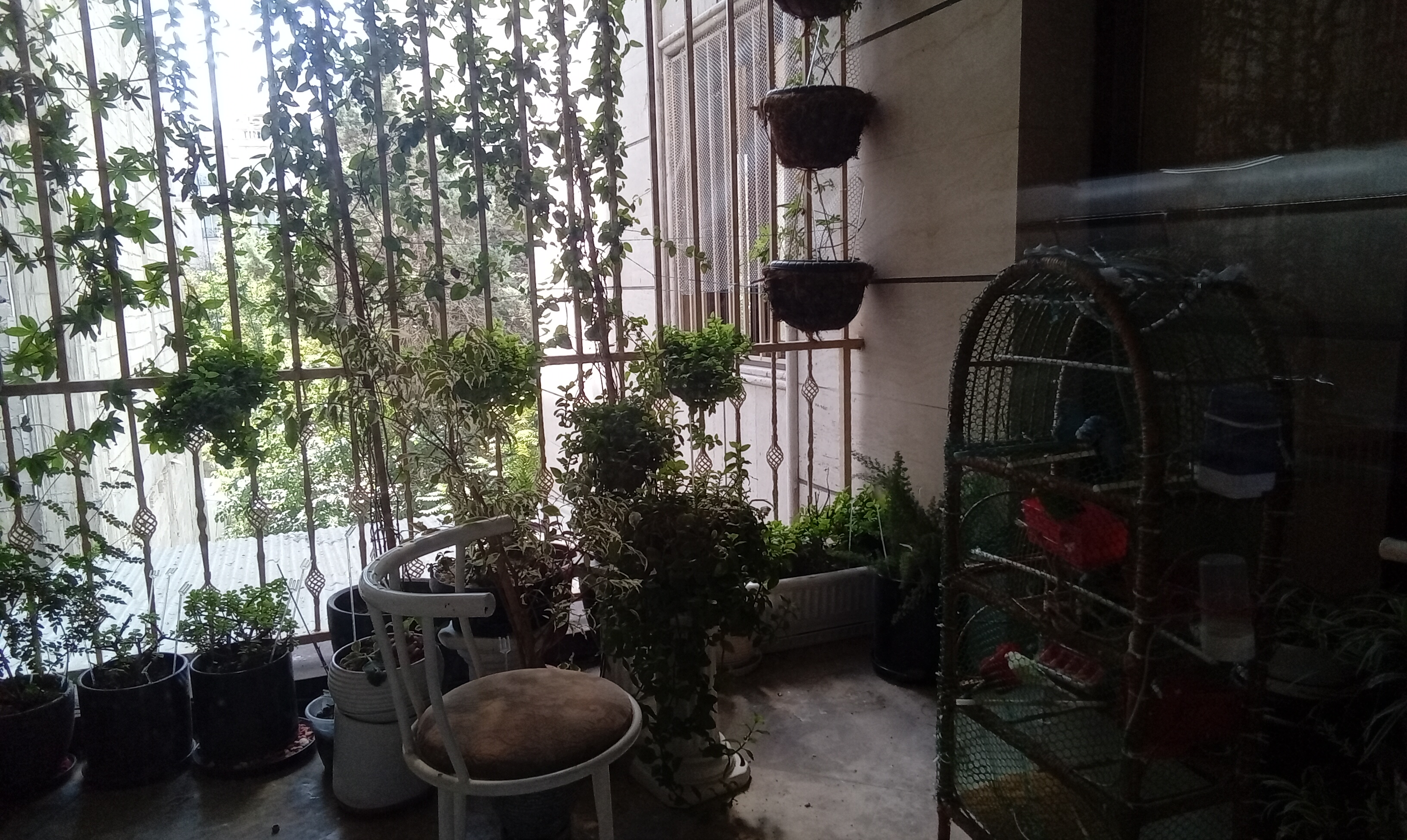 200متر / 3خواب/ دروس