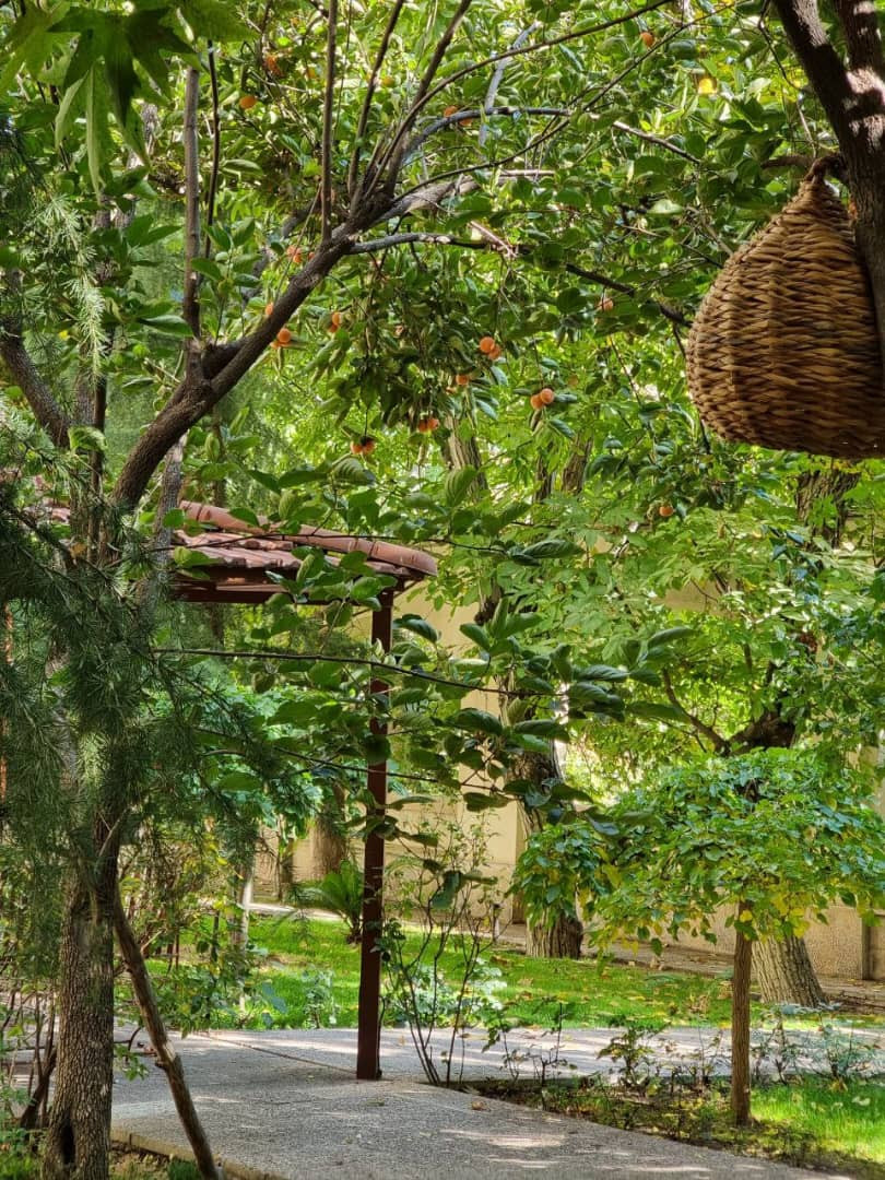 172 متر بدون مشابه ویو باغ دارآباد