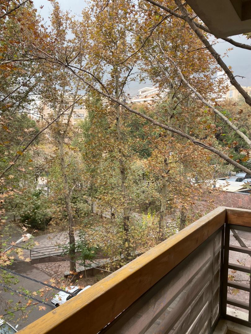 فروش واحد 160متری نیاوران تکواحدی