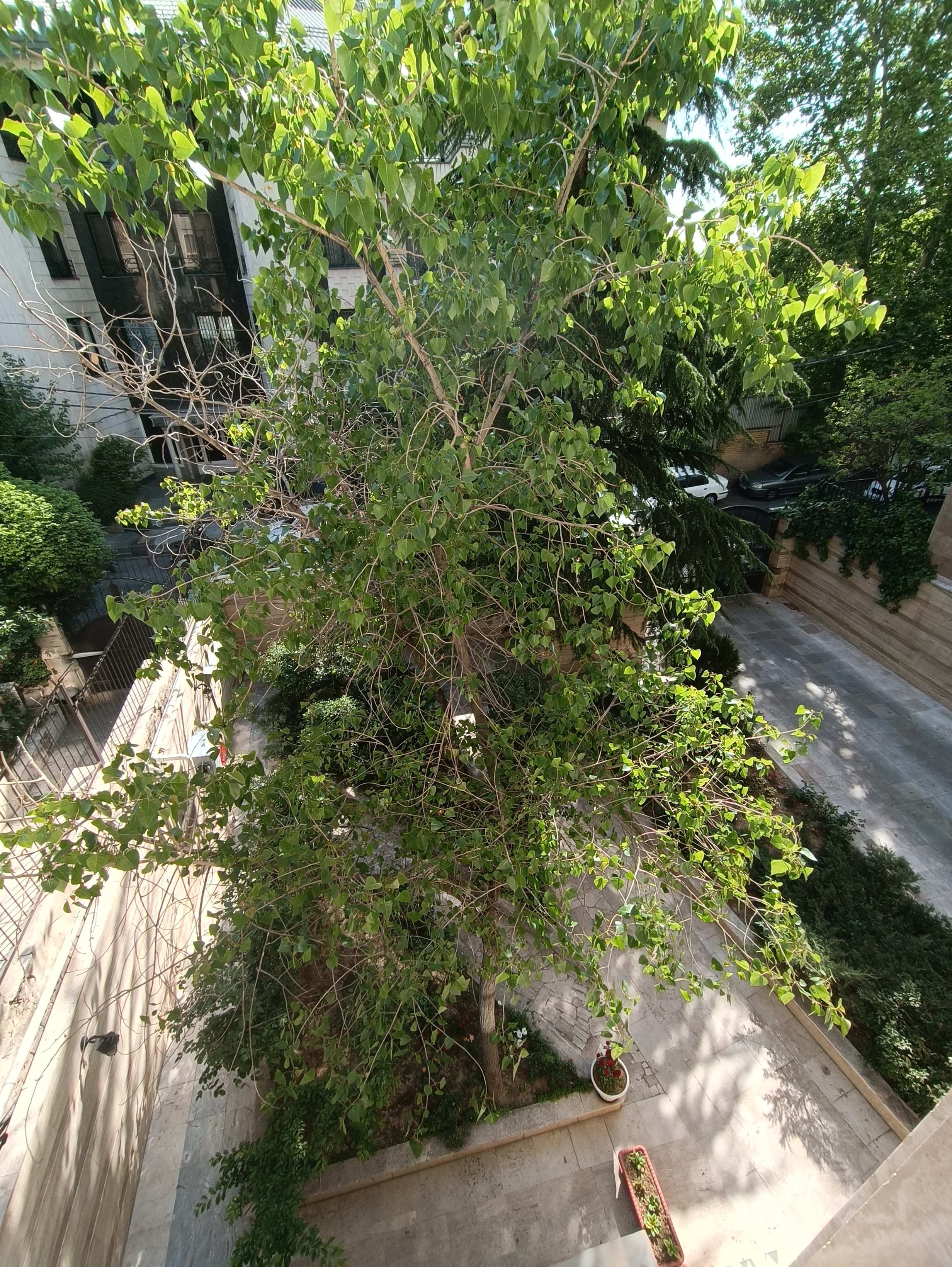 155 متر مربع 3خواب 1خواب مستر