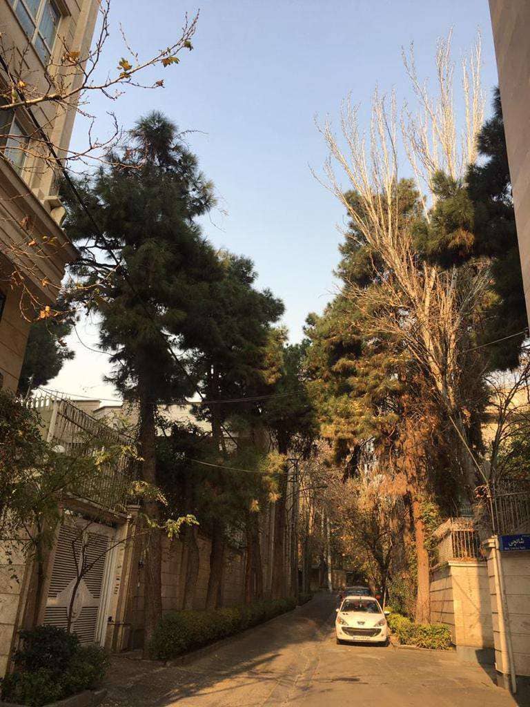 فروش آپارتمان 145متر 3خواب منظریه