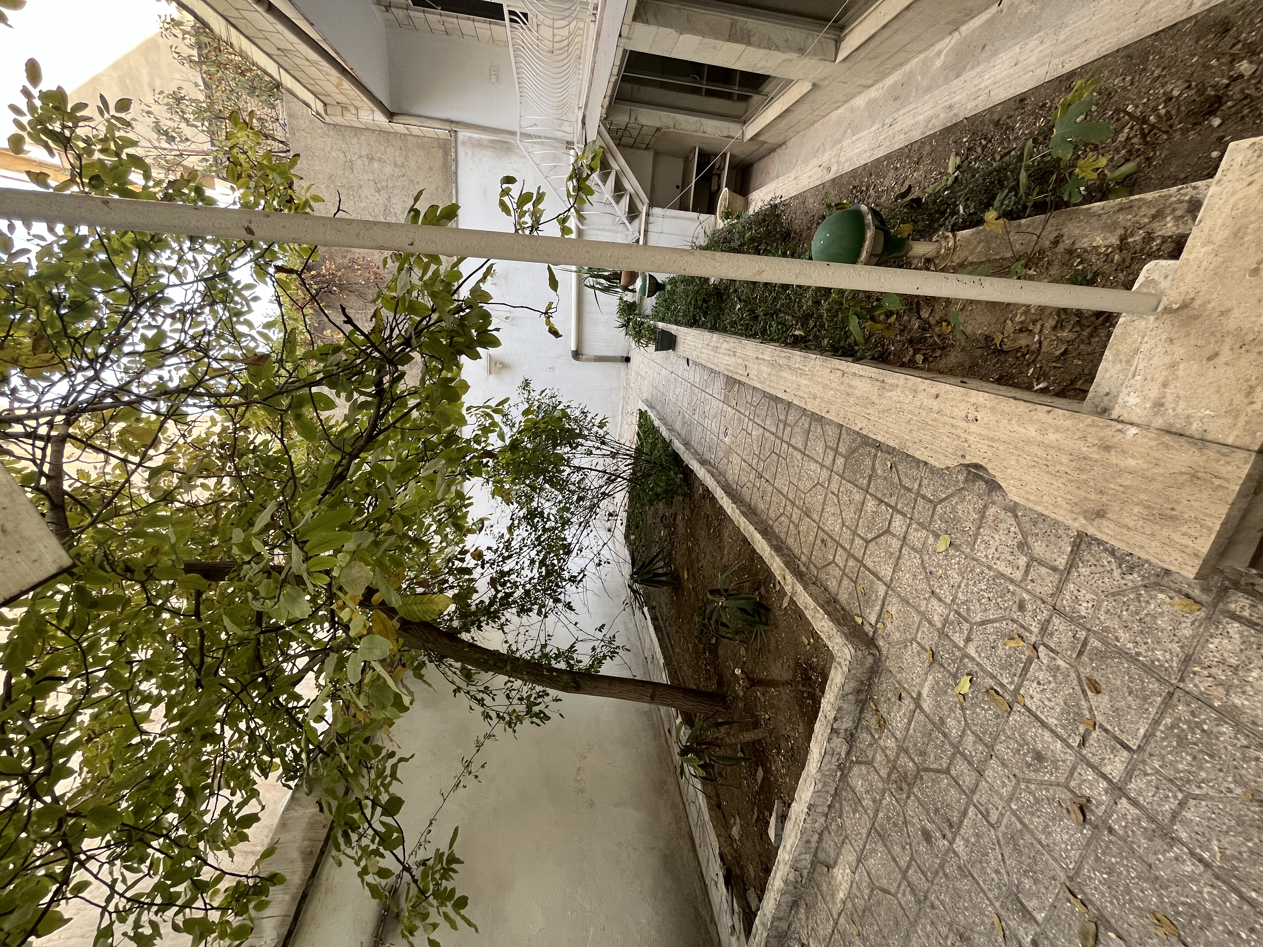 اجاره آپارتمان 150 متر قیطریه حیاط مشجر