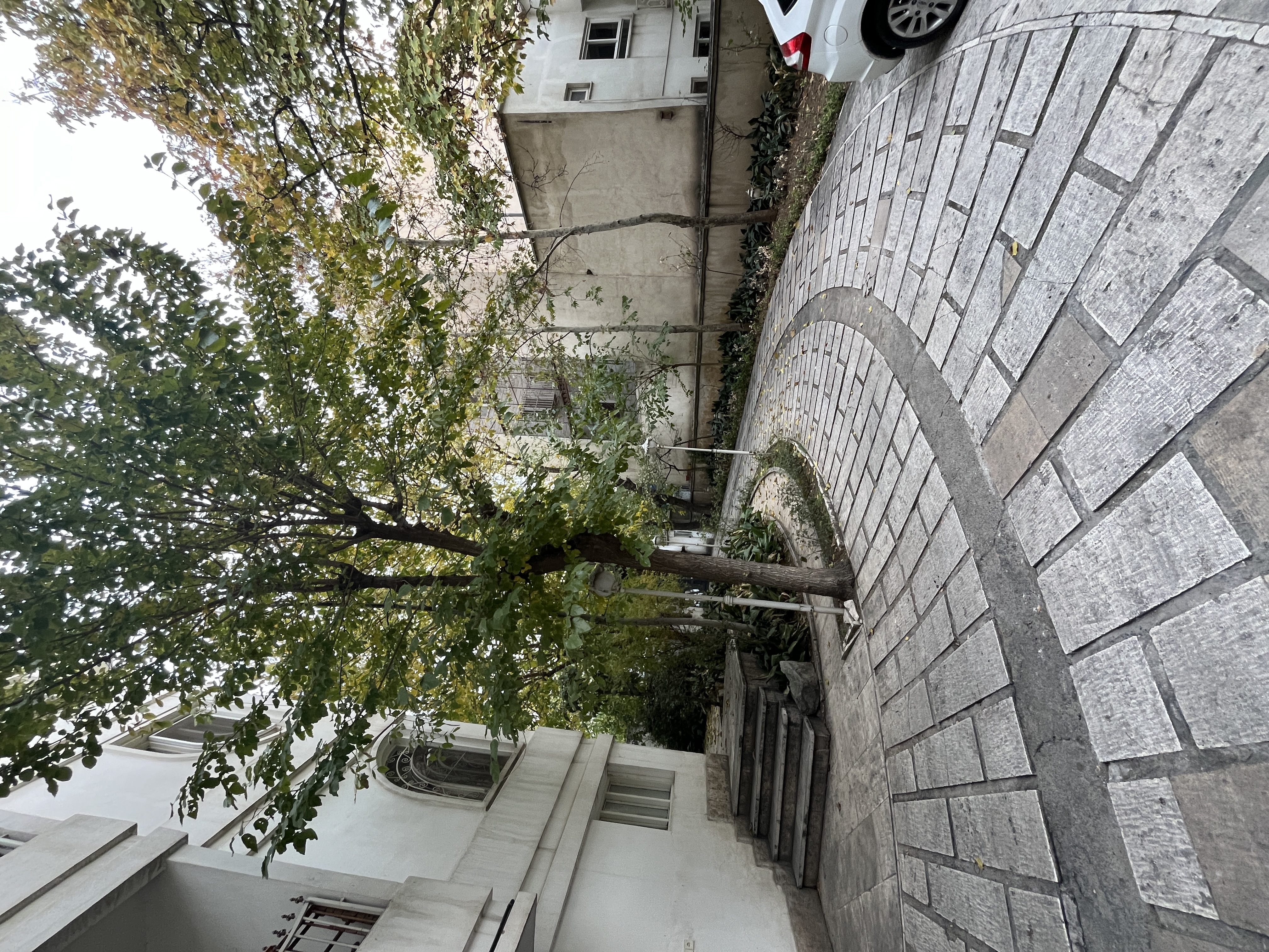 اجاره آپارتمان 150 متر 3 خواب نیاوران