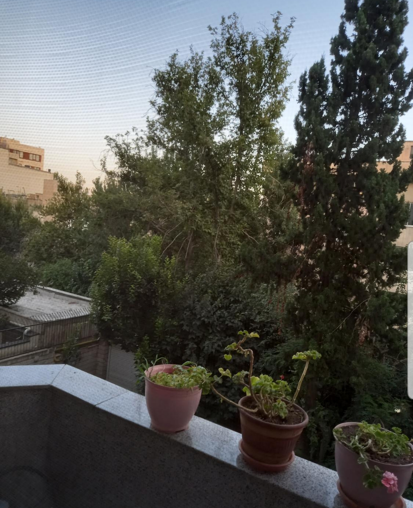 فروش آپارتمان 98 متر دولت کم واحد