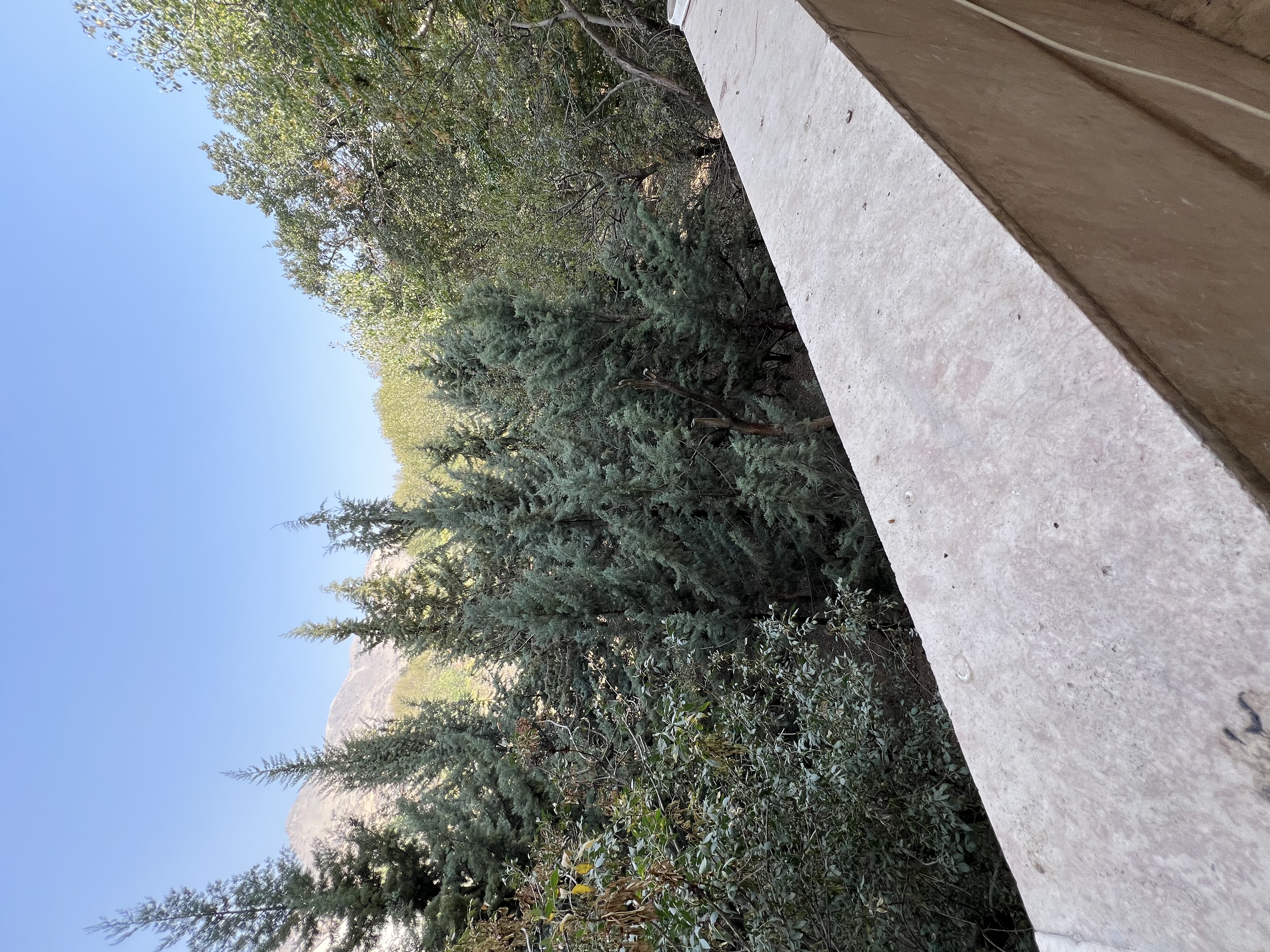 اجاره آپارتمان 250 متر نیاوران