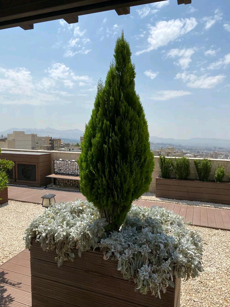اجاره آپارتمان 185 متر نیاوران