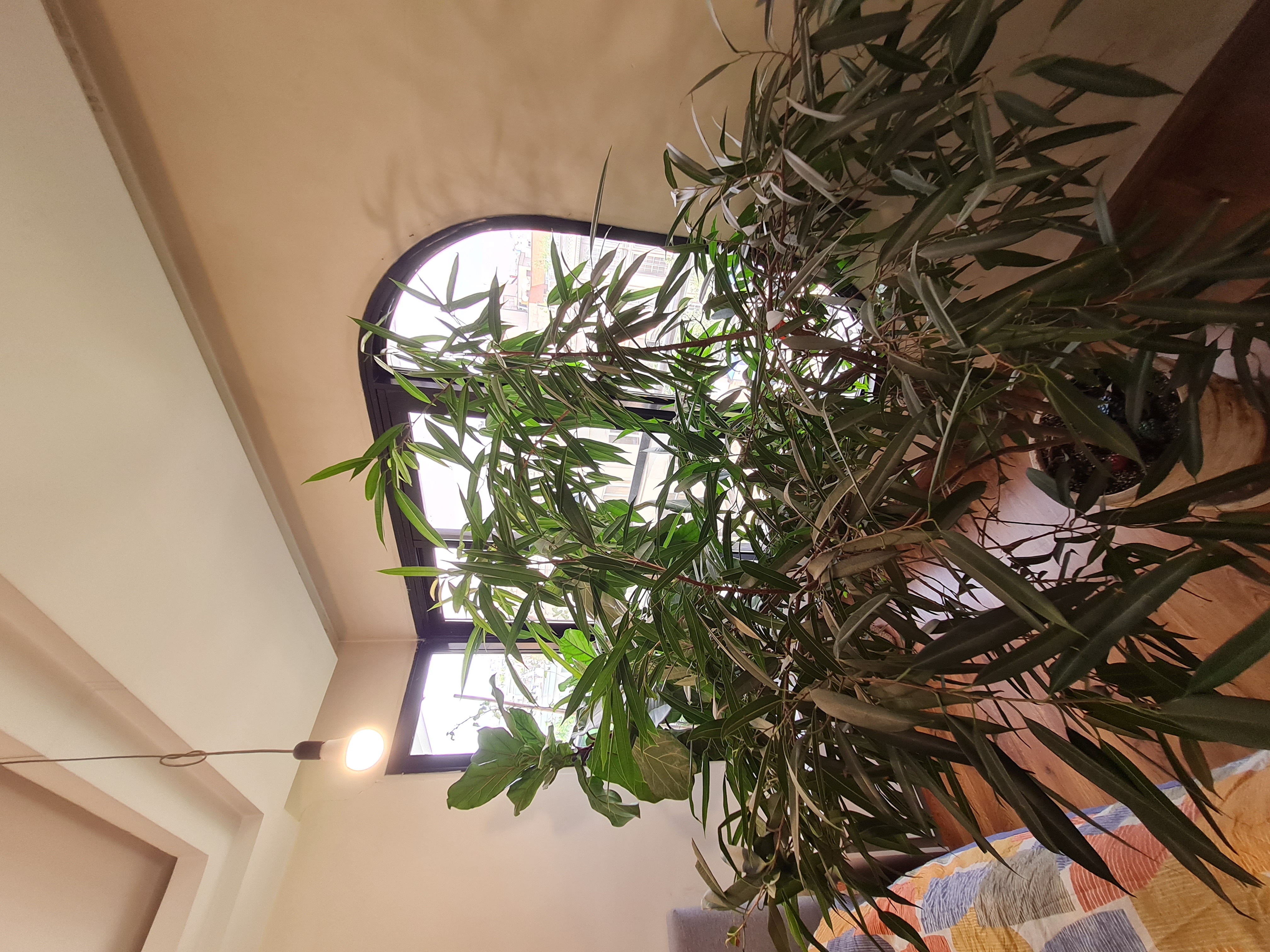 فروش آپارتمان 115 متر دروس وارسته