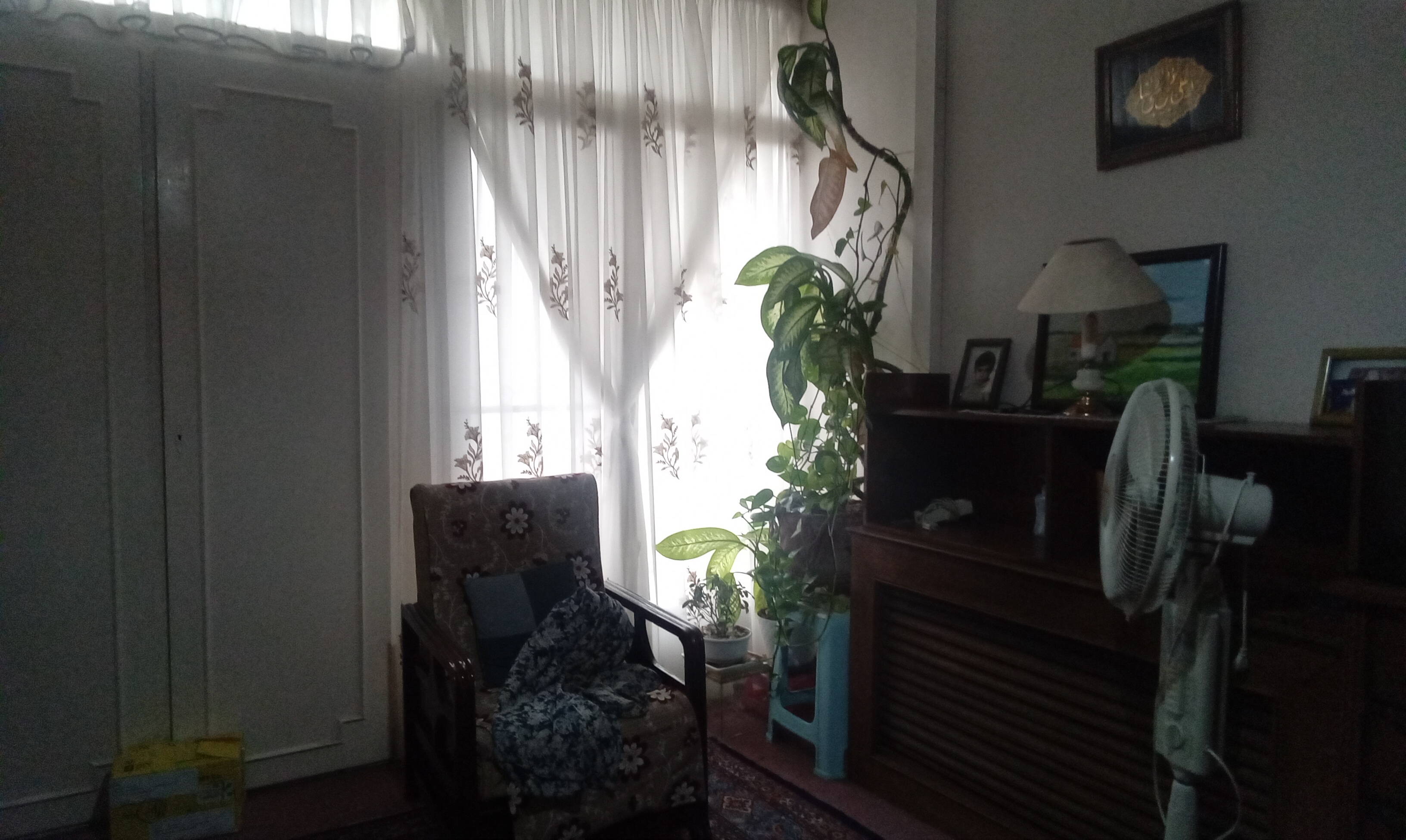 150متر دارای قدرالسهم یک از سه