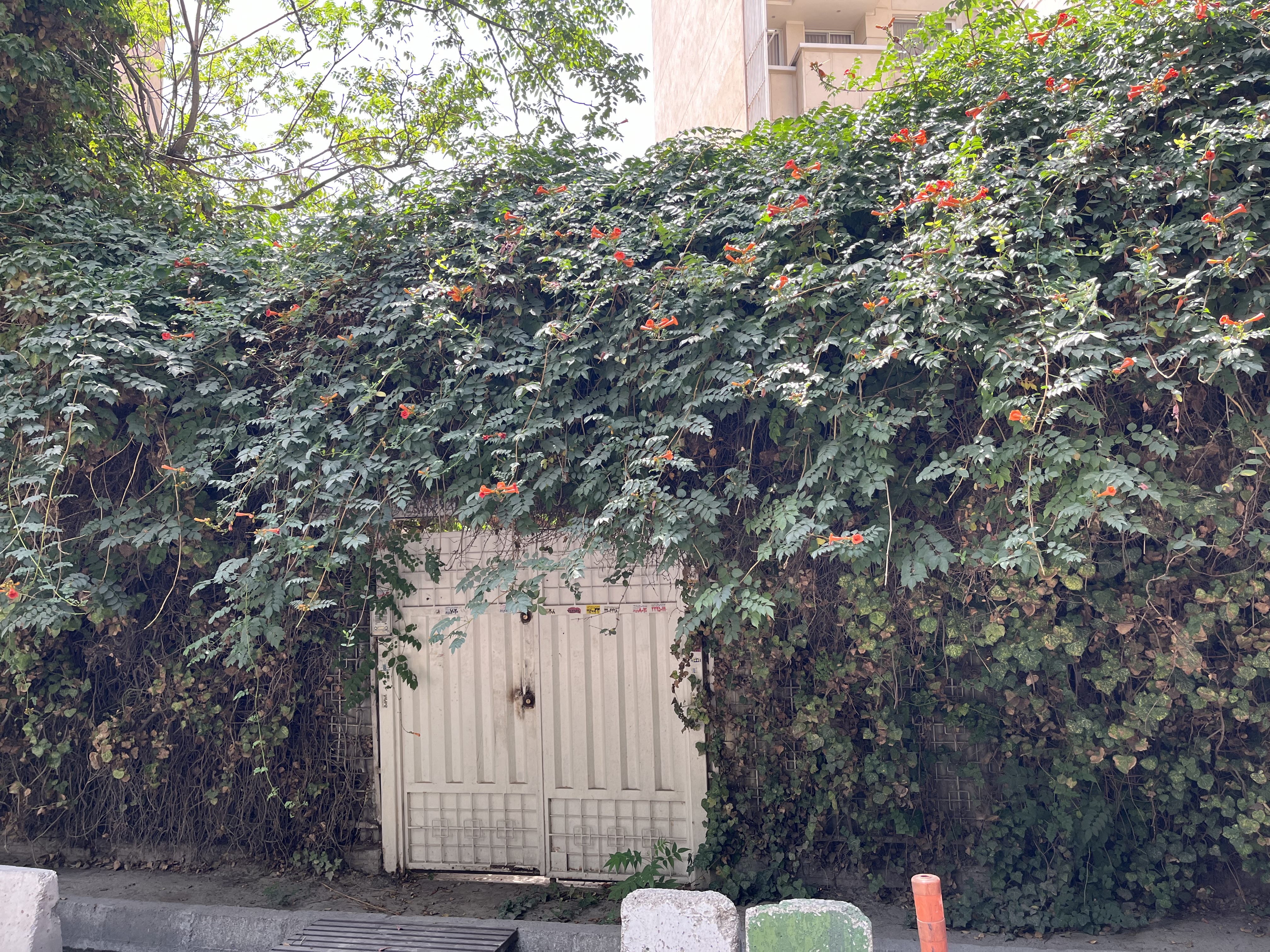 فروش کلنگی 433 متر نیاوران