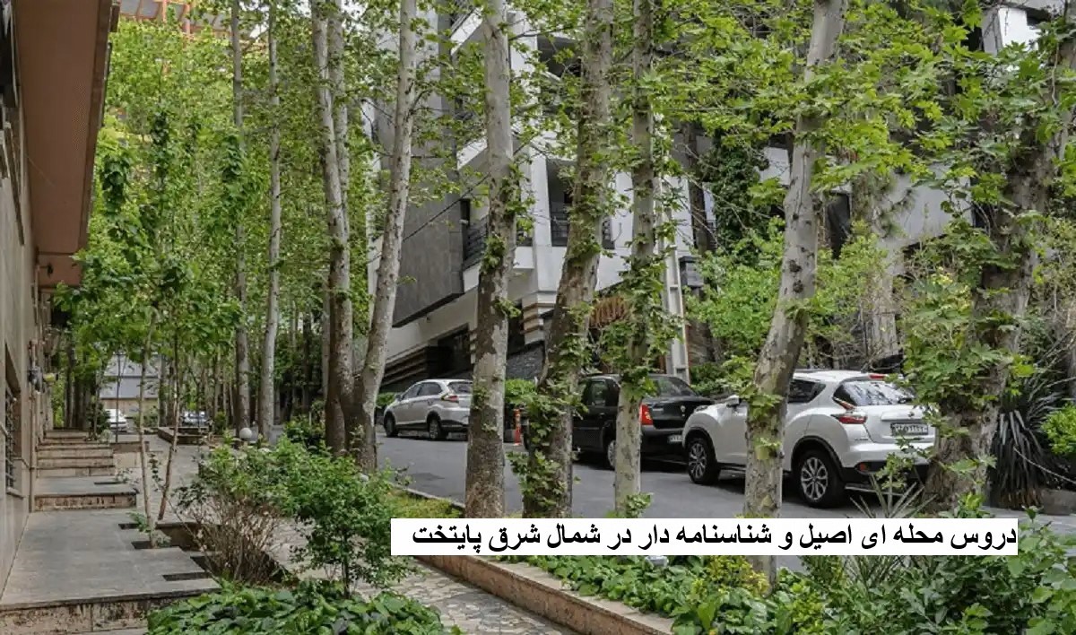 دروس محله‌ای اصیل در منطقه 3 تهران